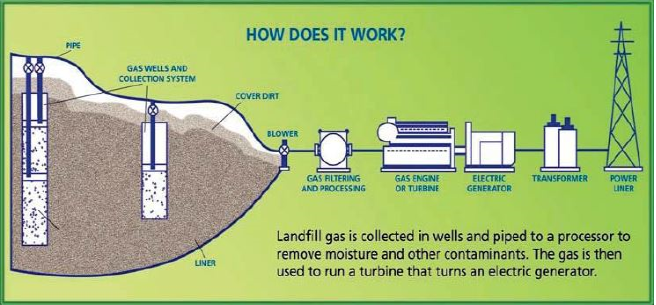 Landfill%20gas%20production.png