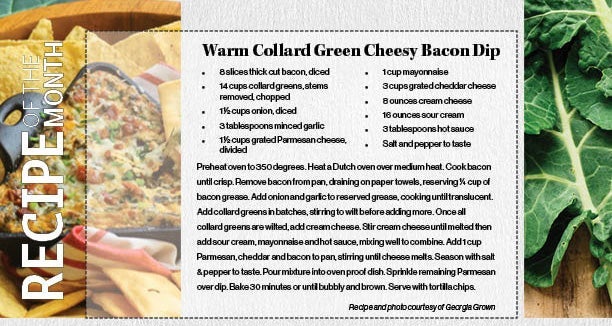 collard-green-dip recipe