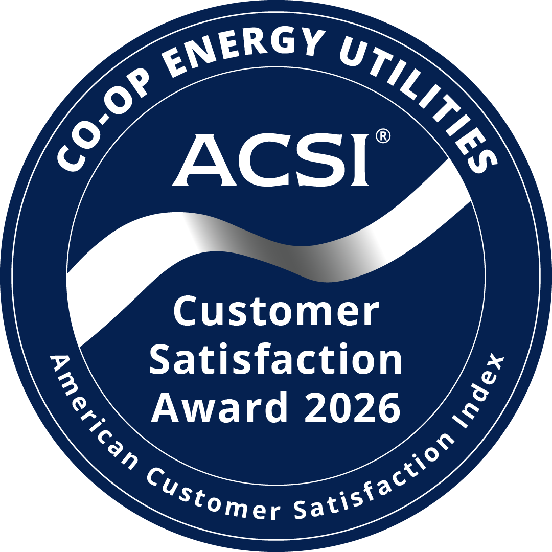 CGEMC earns this award based on data modeled by the ACSI® in 2026.