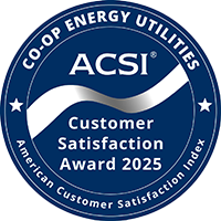 Customer Satisfaction Award Badge