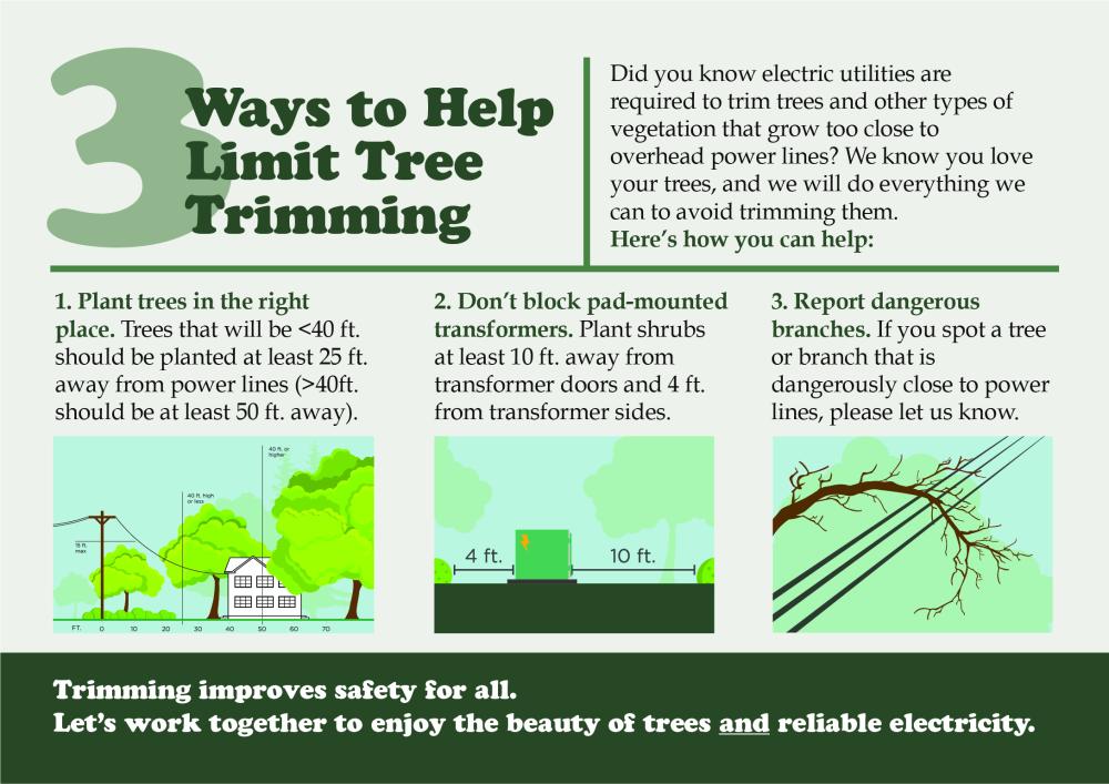 Tree Trimming Guide 