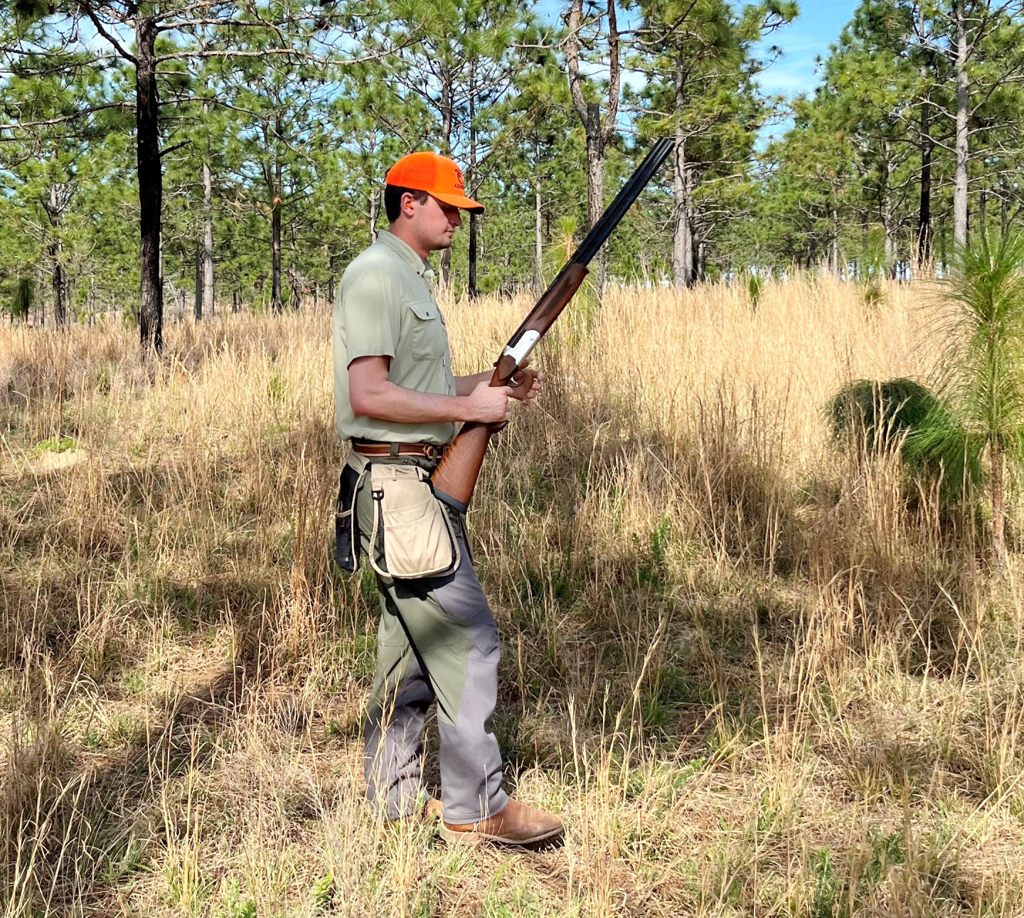 dove-hunting